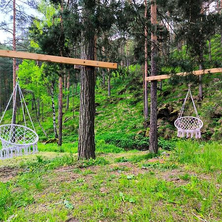 Vila Pogled Wellness I Spa Divčibare Exteriér fotografie
