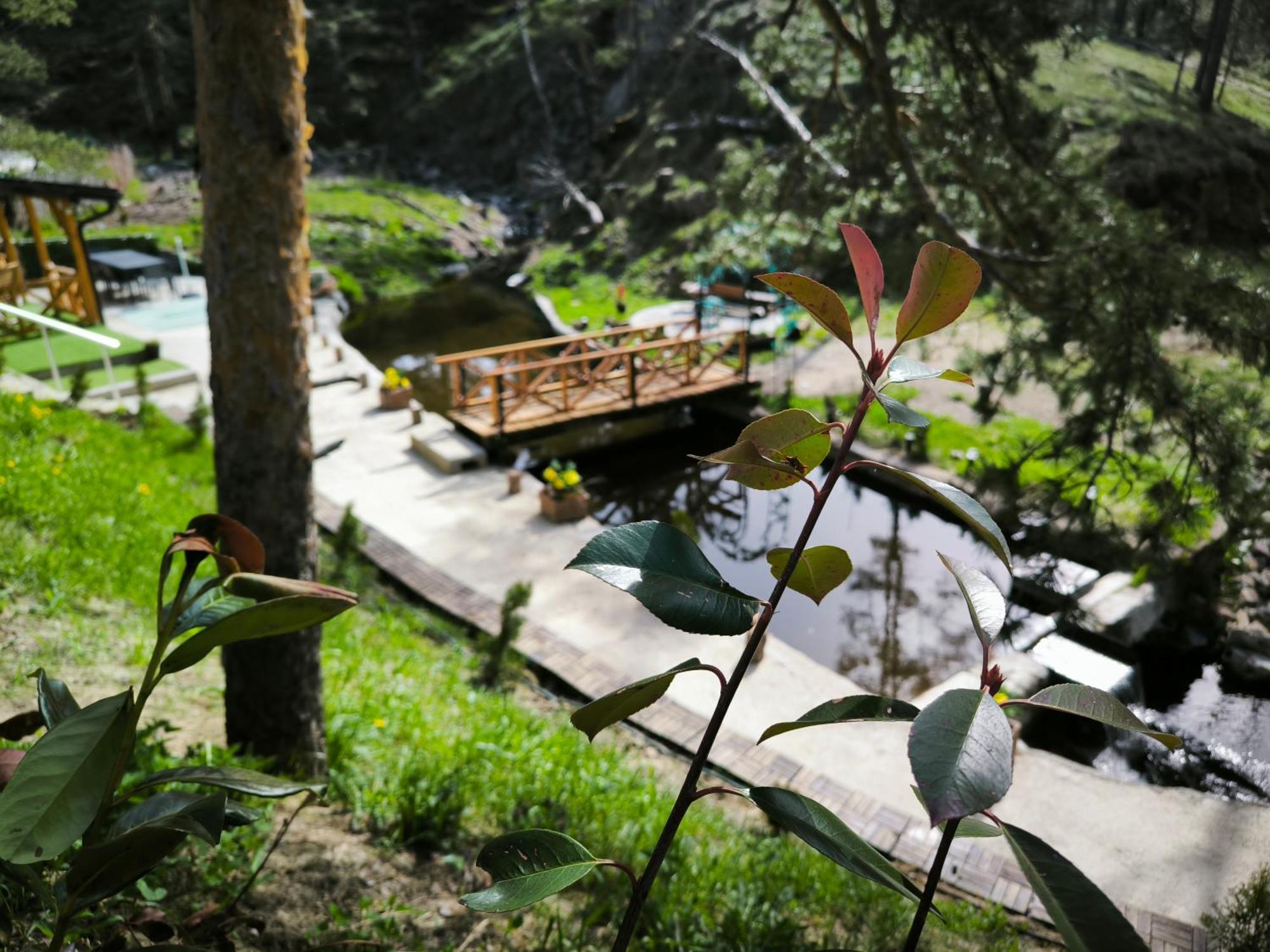 Vila Pogled Wellness I Spa Divčibare Exteriér fotografie